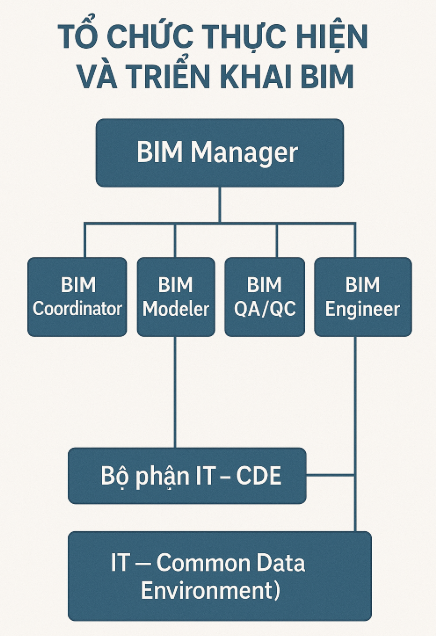 Cơ cấu tổ chức BIM trong nhà thầu