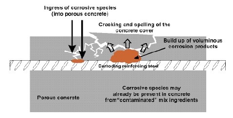 Các nguyên nhân dẫn đến ăn mòn bê tông cốt thép (BTCT)