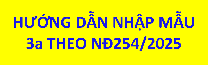 Hướng dẫn nhập số liệu cho bảng 3a theo NĐ 254/2025 về thanh quyết toán vốn đầu tư gồm các phụ lục